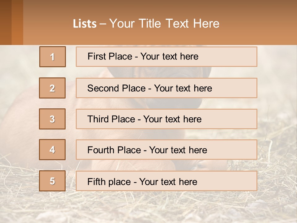 Buy Garden Sky PowerPoint Template