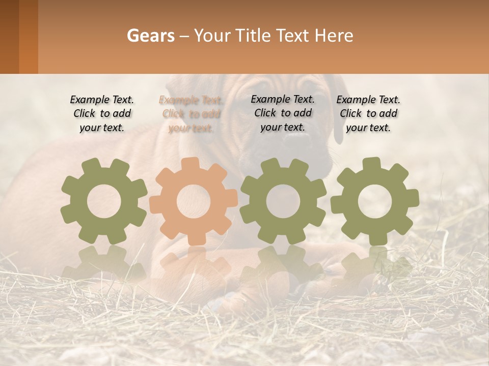 Buy Garden Sky PowerPoint Template