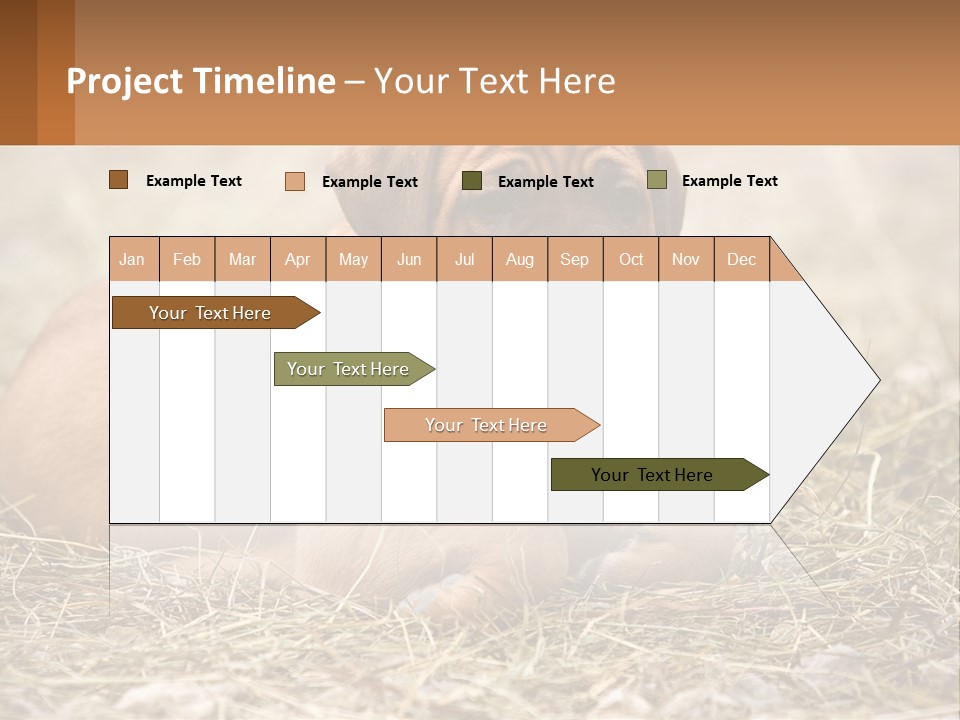 Buy Garden Sky PowerPoint Template