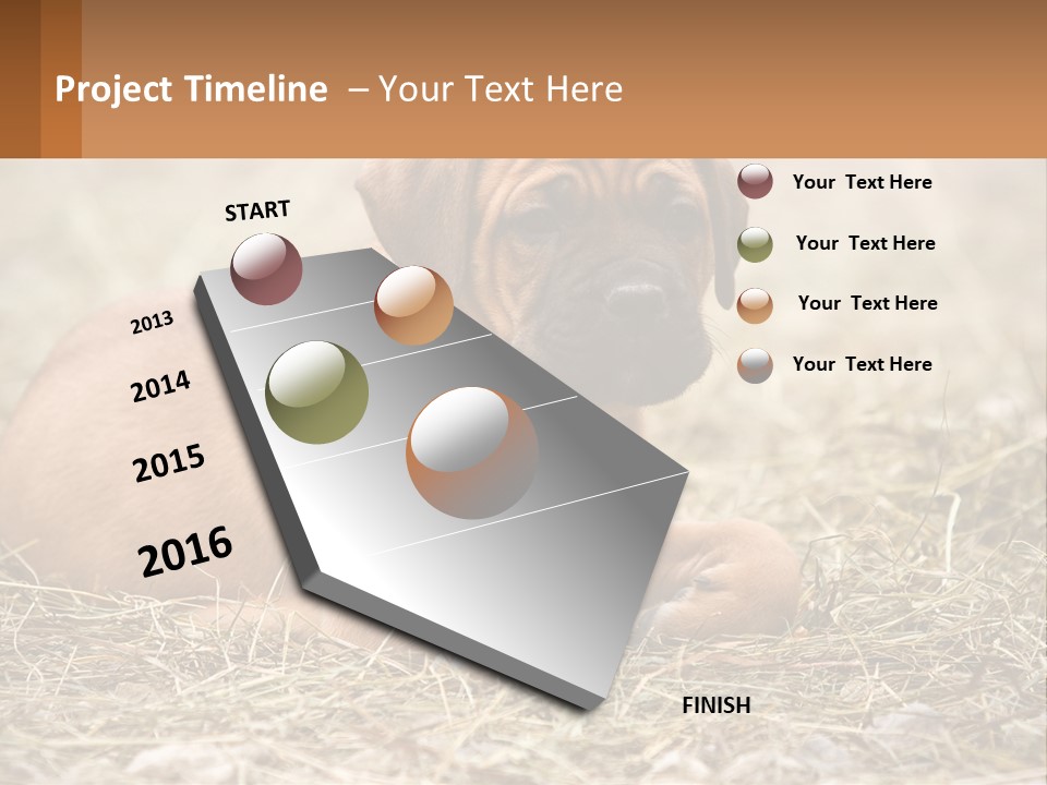 Buy Garden Sky PowerPoint Template