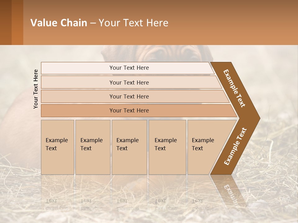 Buy Garden Sky PowerPoint Template