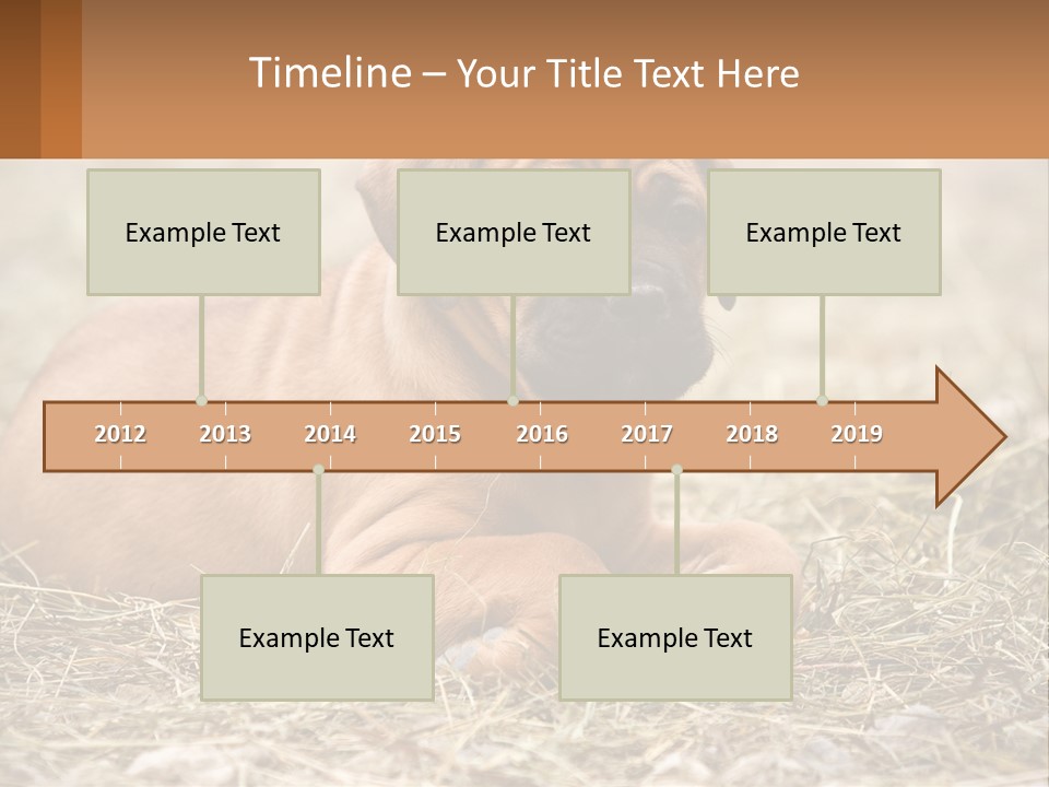 Buy Garden Sky PowerPoint Template