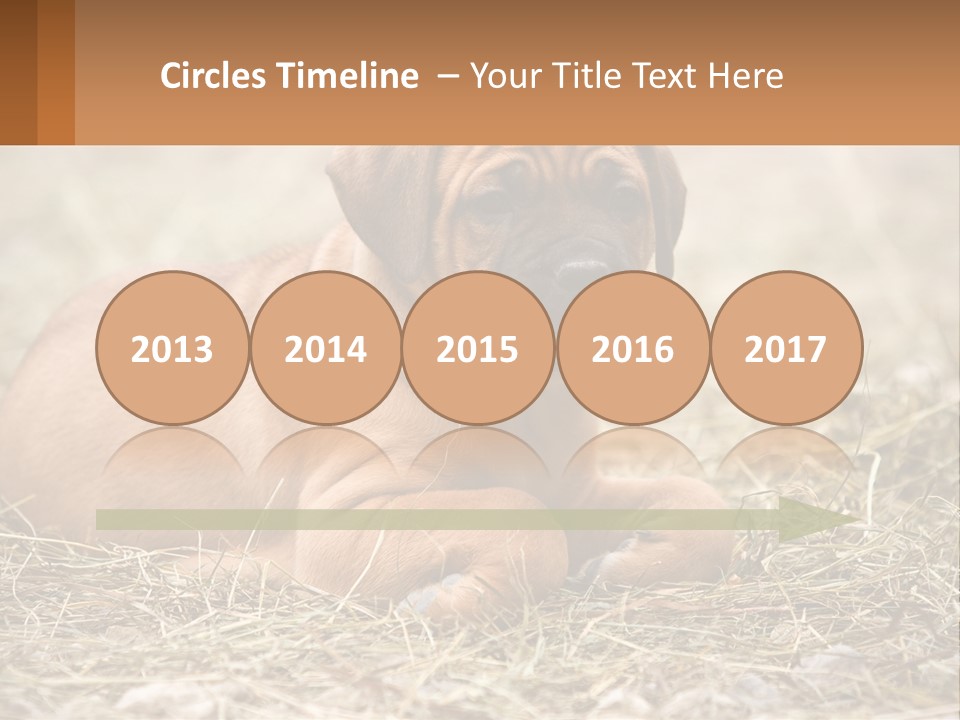 Buy Garden Sky PowerPoint Template