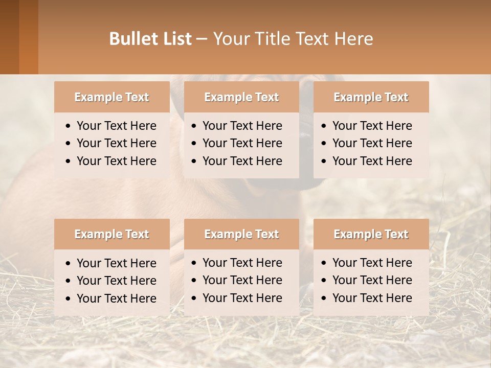 Buy Garden Sky PowerPoint Template