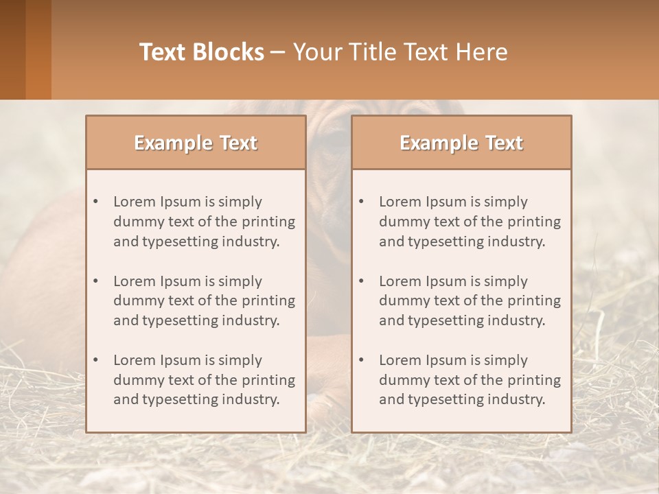 Buy Garden Sky PowerPoint Template