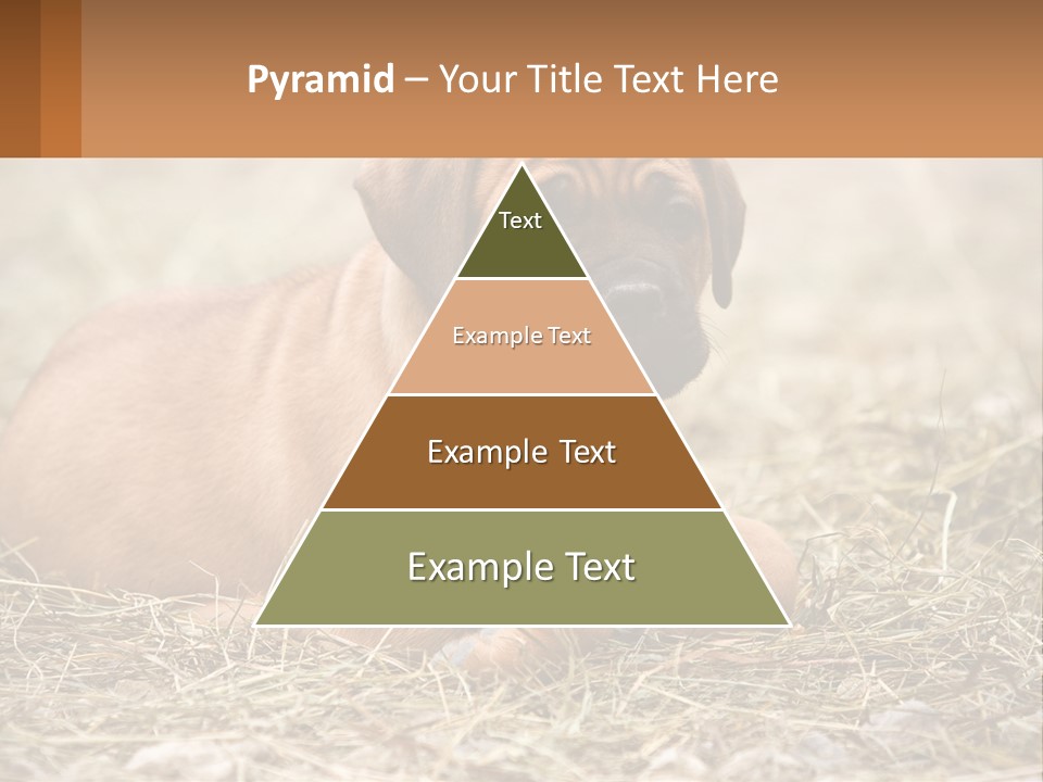 Buy Garden Sky PowerPoint Template