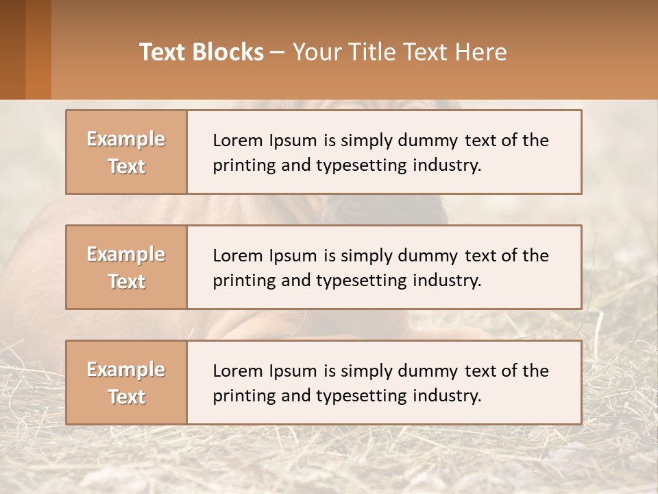 Buy Garden Sky PowerPoint Template