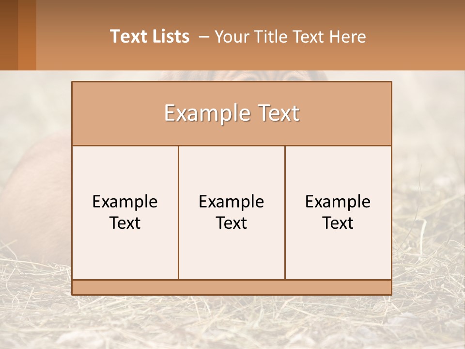 Buy Garden Sky PowerPoint Template