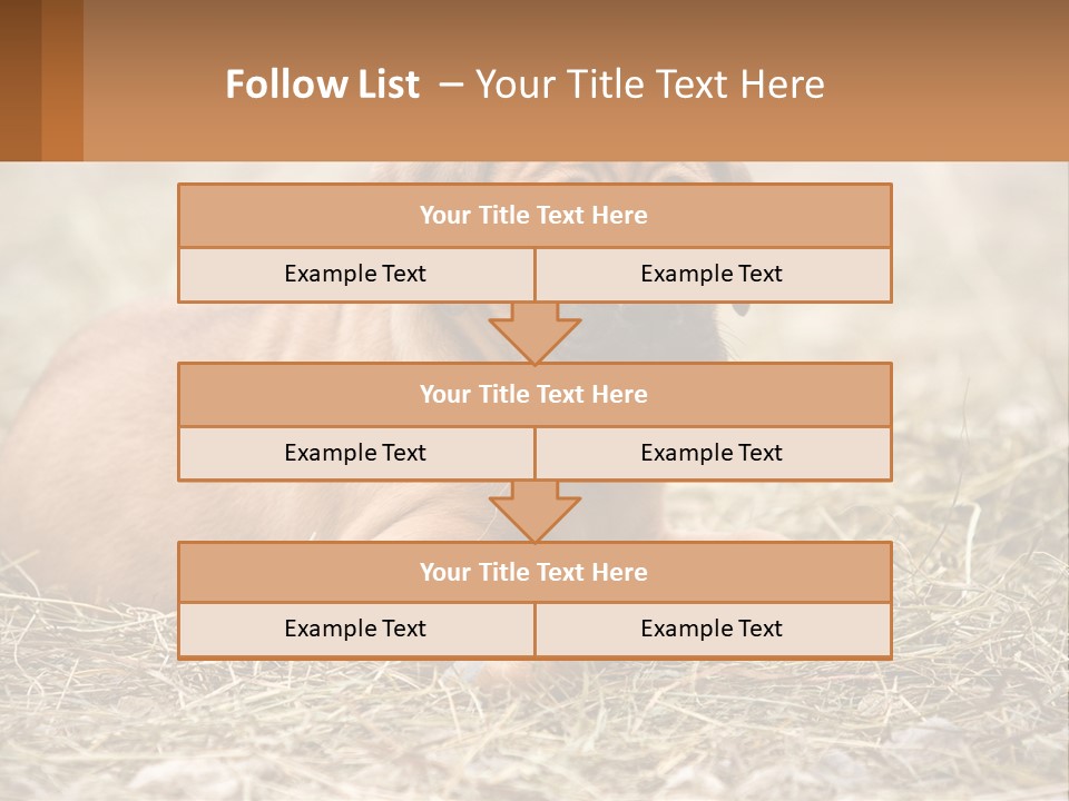 Buy Garden Sky PowerPoint Template