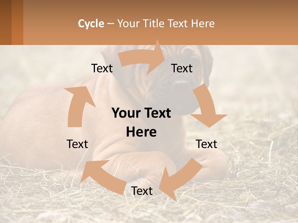 Buy Garden Sky PowerPoint Template