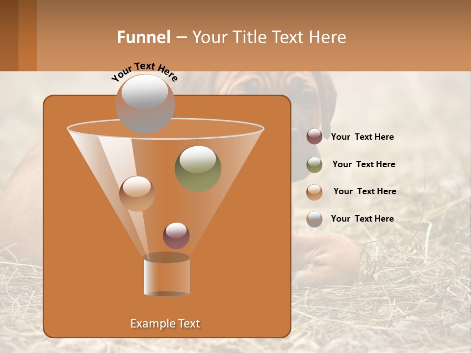 Buy Garden Sky PowerPoint Template