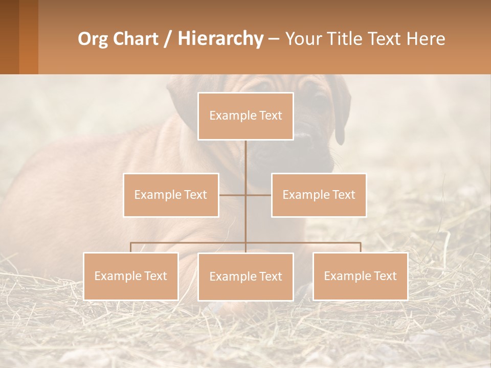 Buy Garden Sky PowerPoint Template