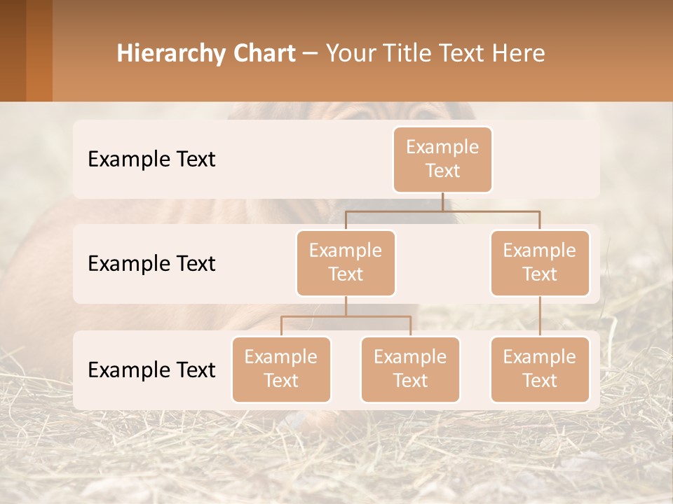 Buy Garden Sky PowerPoint Template