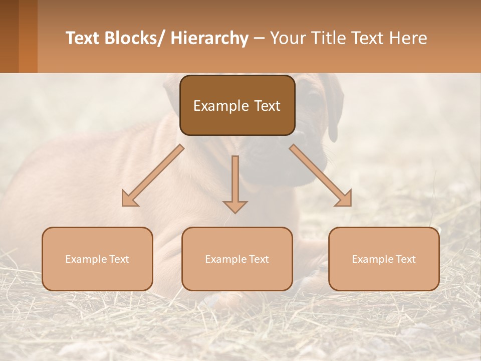 Buy Garden Sky PowerPoint Template