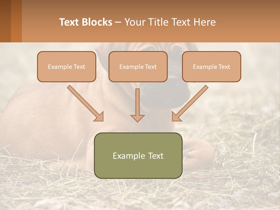 Buy Garden Sky PowerPoint Template