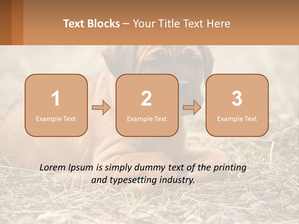 Buy Garden Sky PowerPoint Template