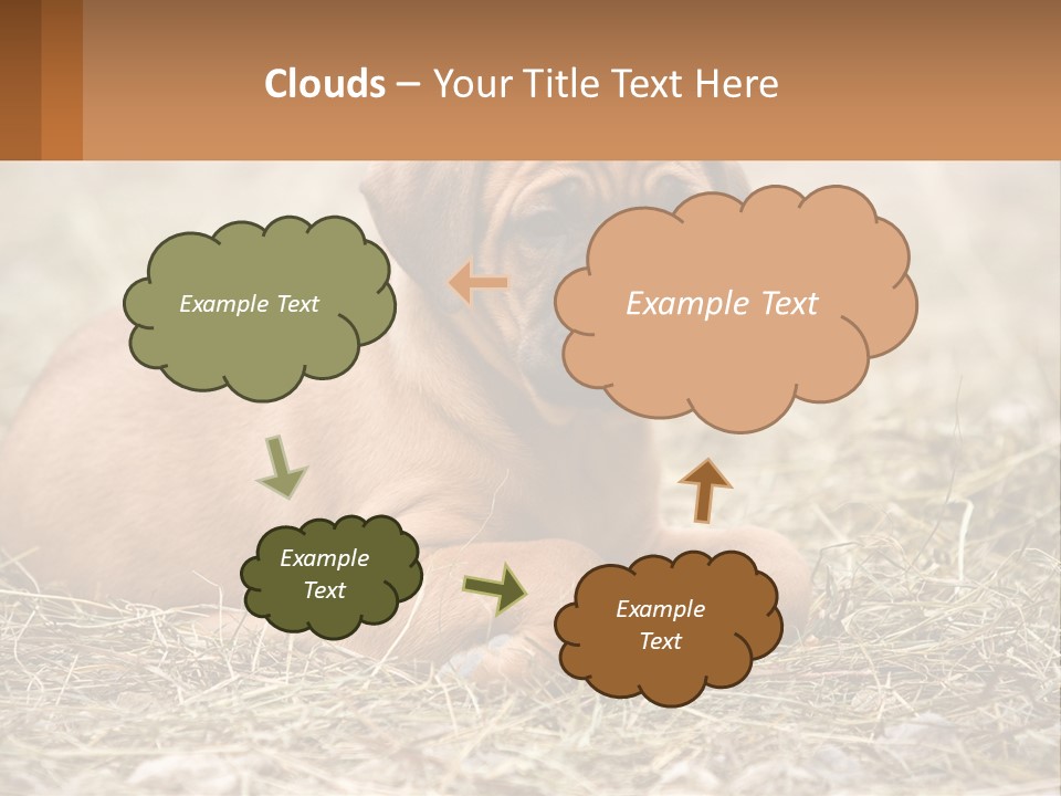 Buy Garden Sky PowerPoint Template