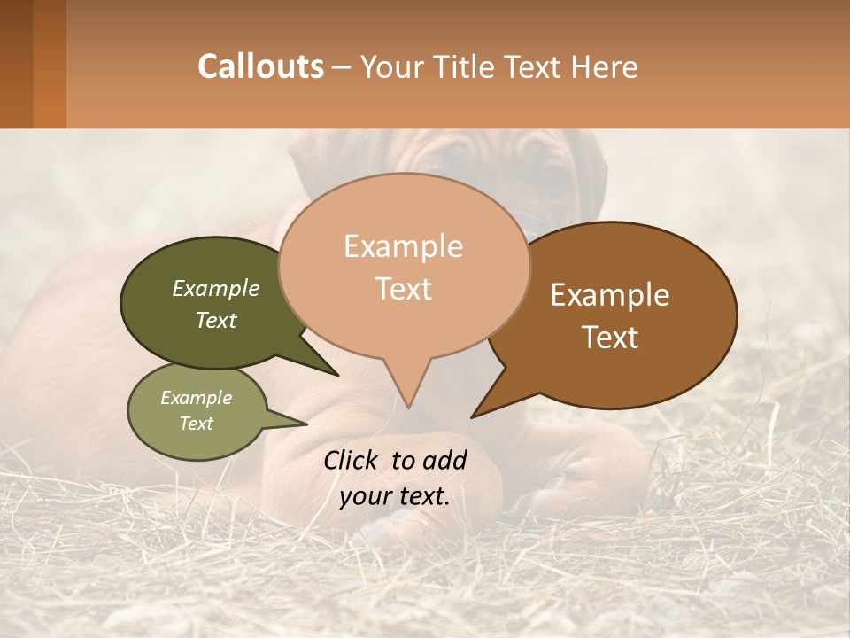 Buy Garden Sky PowerPoint Template