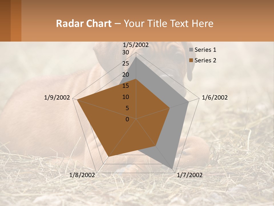 Buy Garden Sky PowerPoint Template