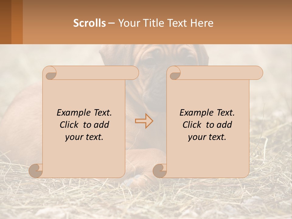Buy Garden Sky PowerPoint Template