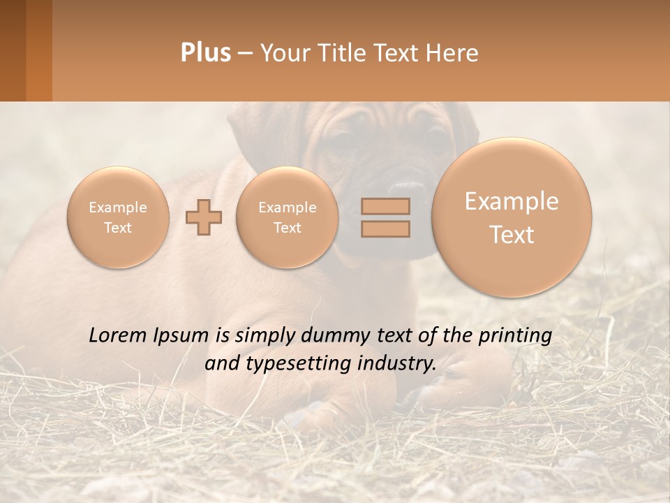Buy Garden Sky PowerPoint Template