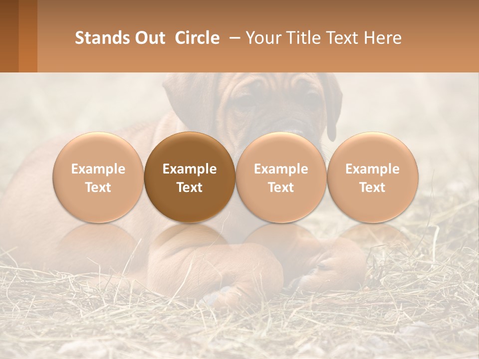 Buy Garden Sky PowerPoint Template