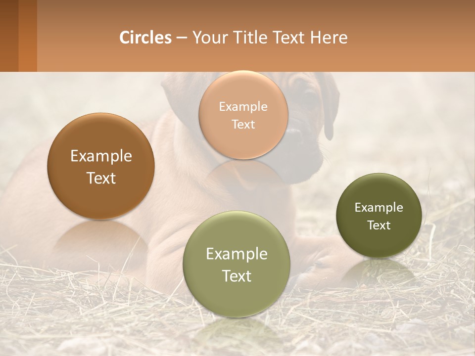 Buy Garden Sky PowerPoint Template