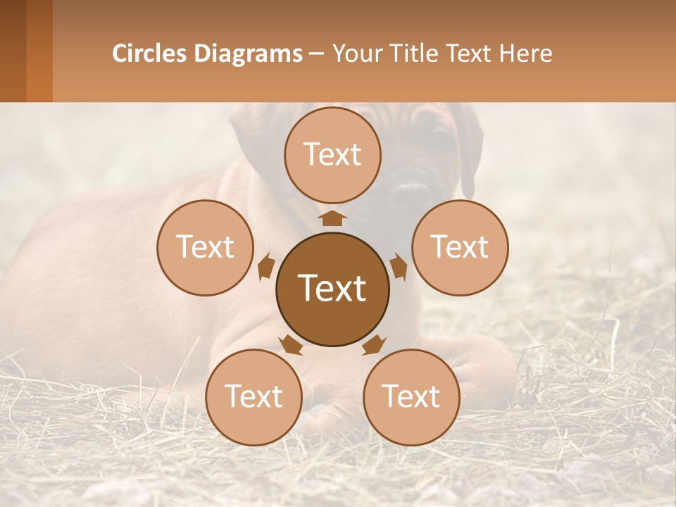 Buy Garden Sky PowerPoint Template