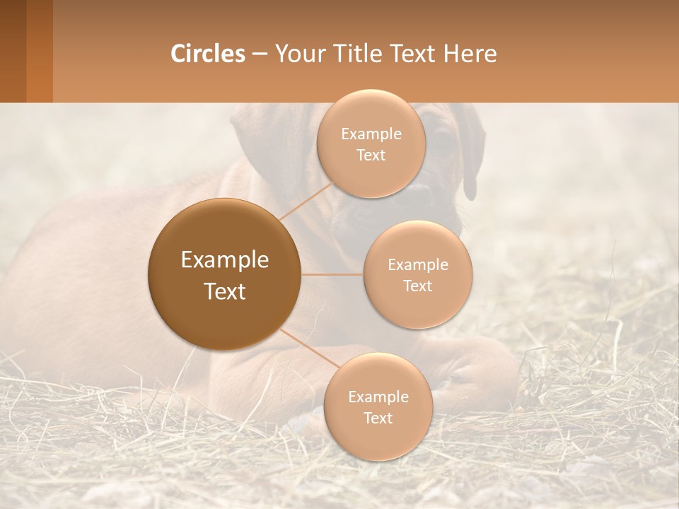 Buy Garden Sky PowerPoint Template