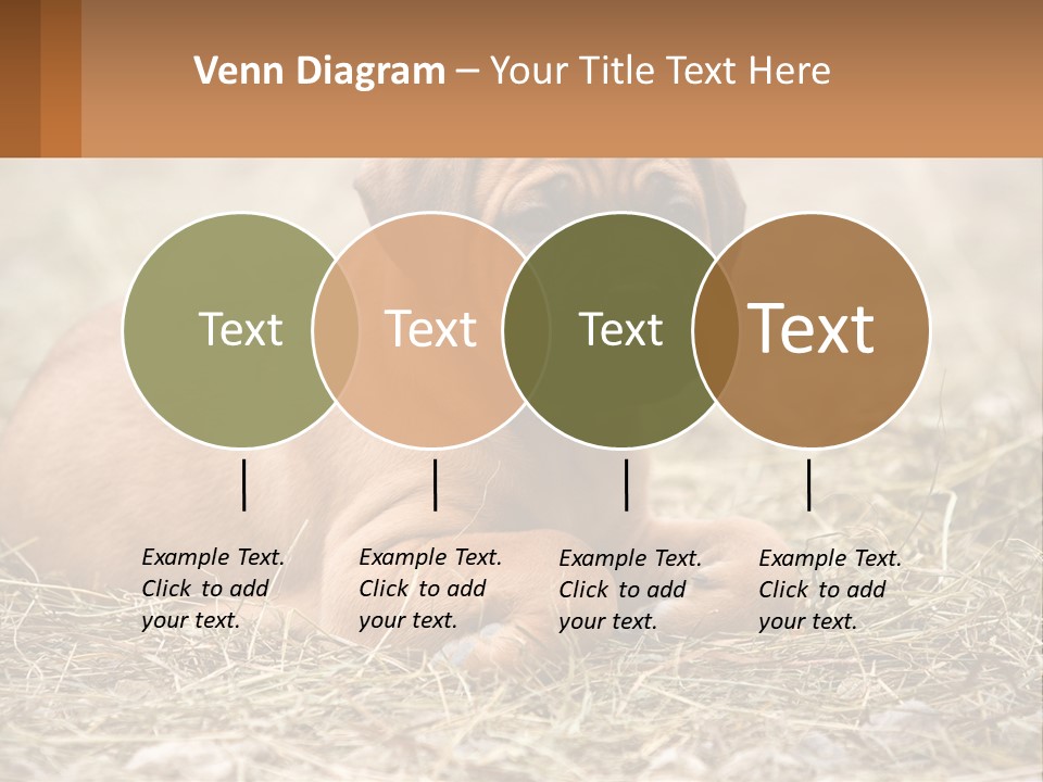 Buy Garden Sky PowerPoint Template