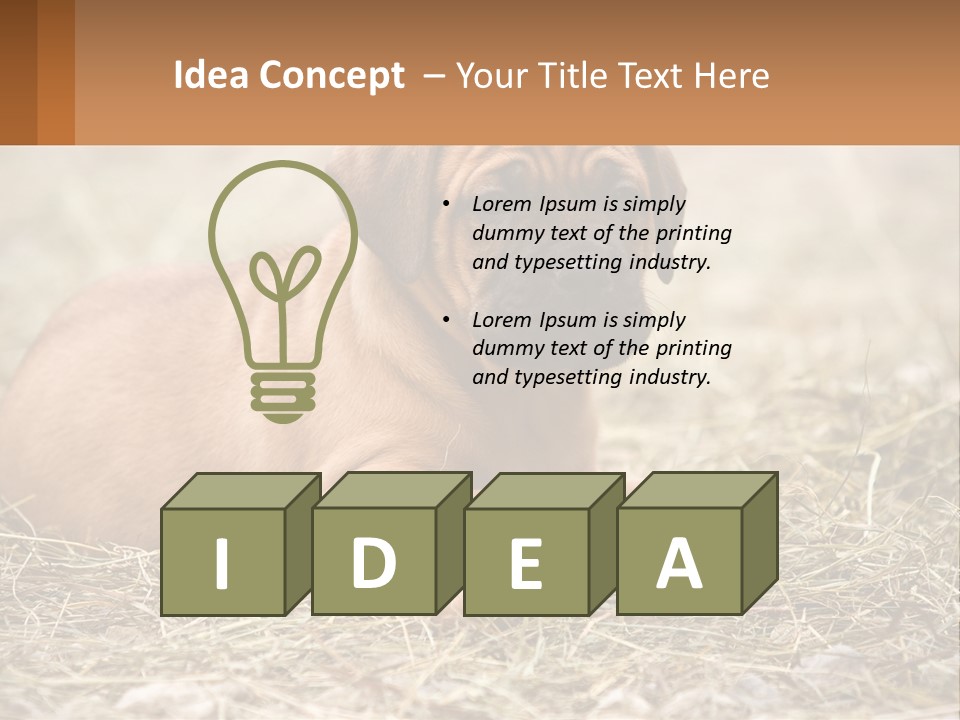 Buy Garden Sky PowerPoint Template