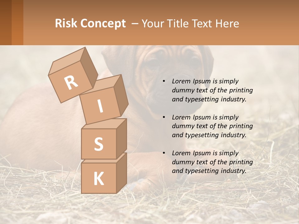 Buy Garden Sky PowerPoint Template