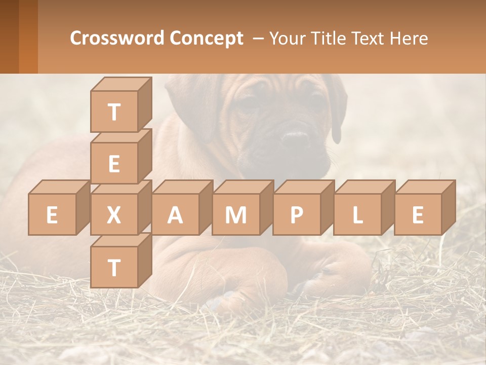 Buy Garden Sky PowerPoint Template