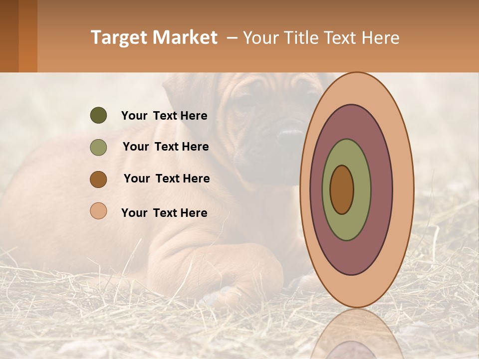 Buy Garden Sky PowerPoint Template