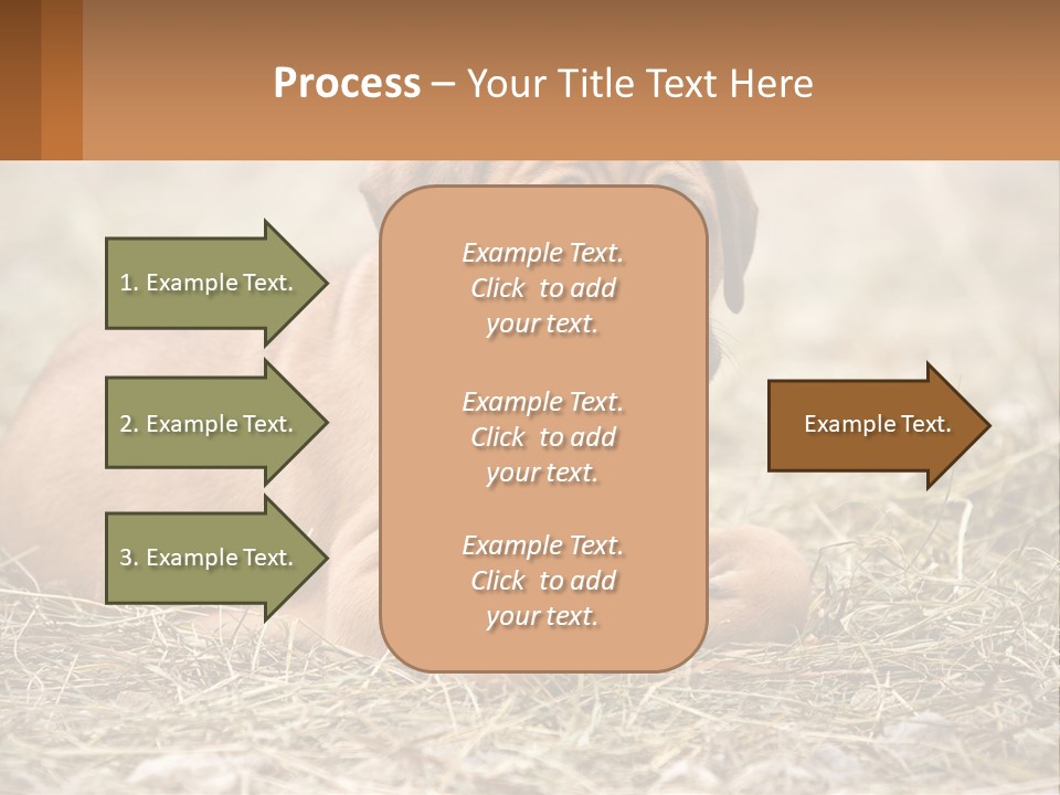 Buy Garden Sky PowerPoint Template