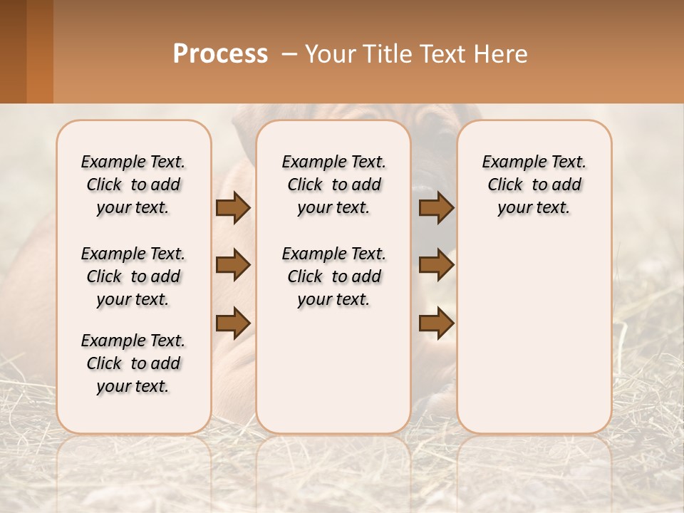 Buy Garden Sky PowerPoint Template