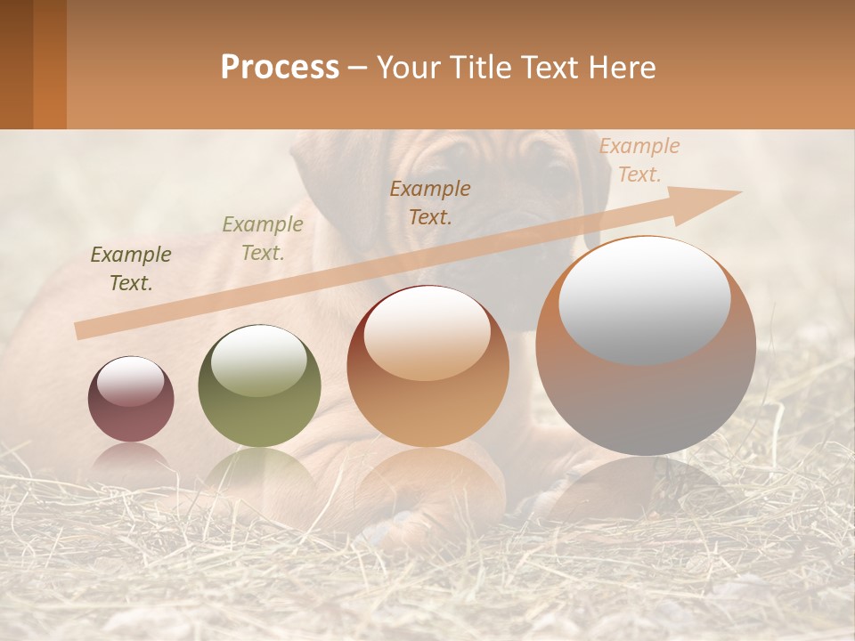 Buy Garden Sky PowerPoint Template