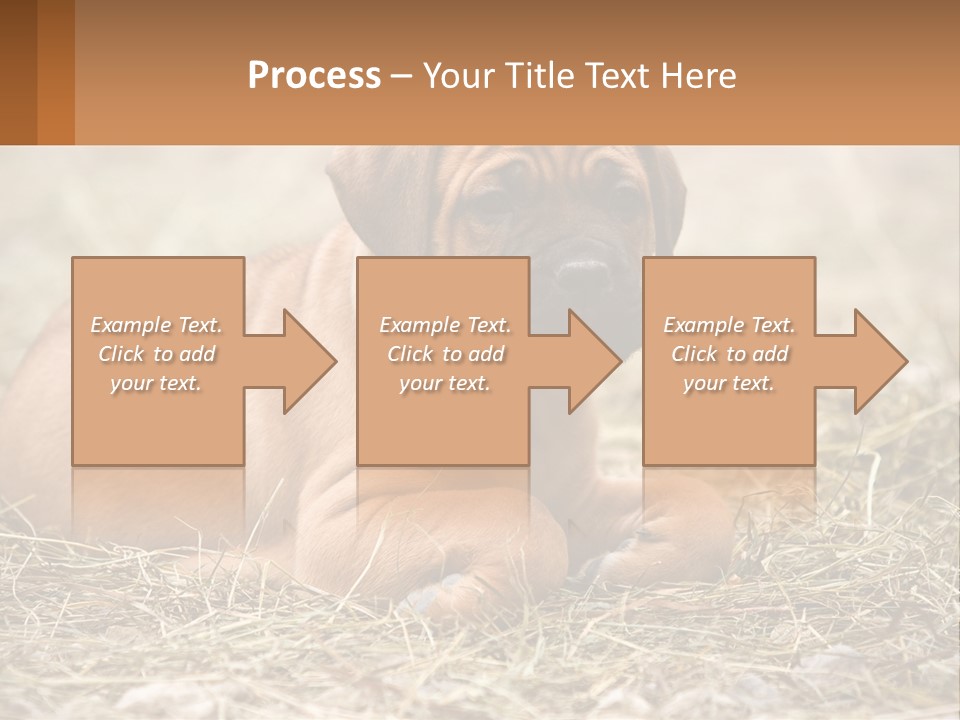 Buy Garden Sky PowerPoint Template