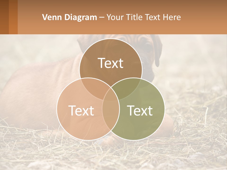 Buy Garden Sky PowerPoint Template