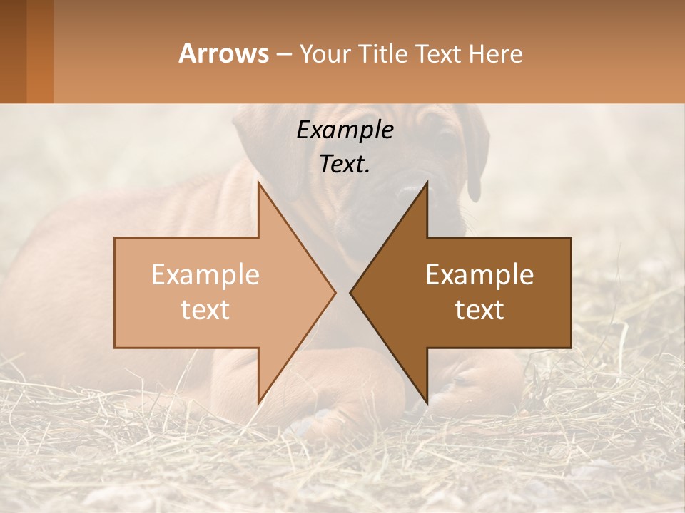 Buy Garden Sky PowerPoint Template
