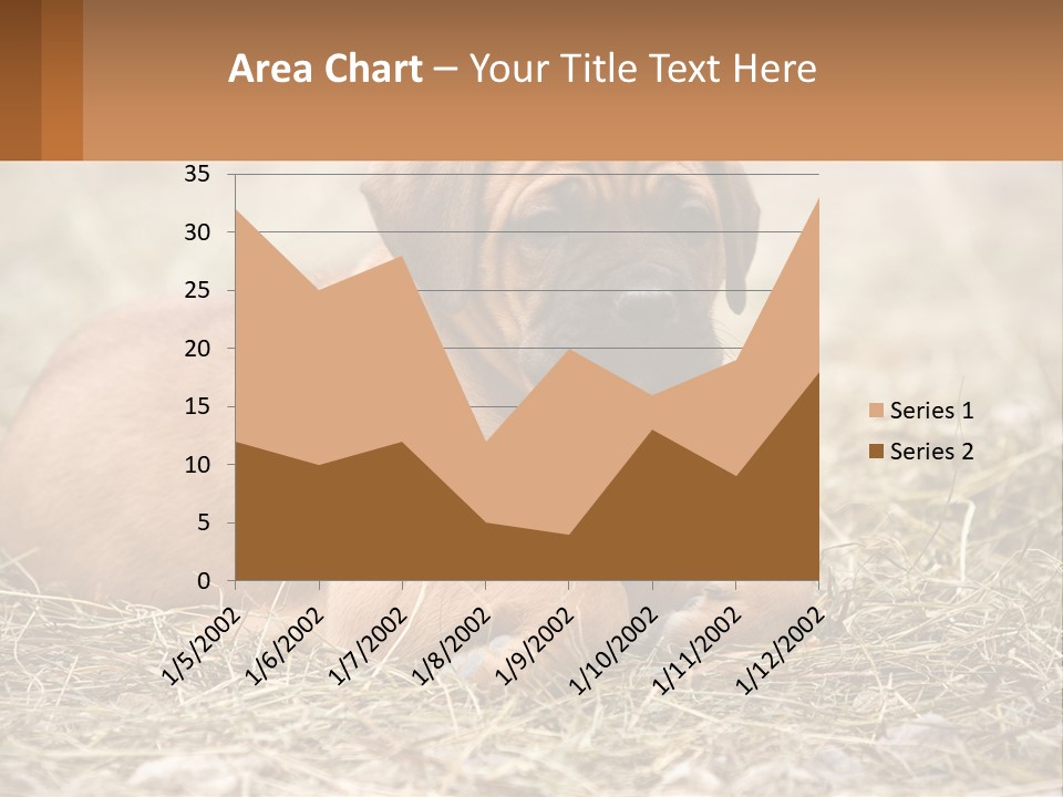 Buy Garden Sky PowerPoint Template