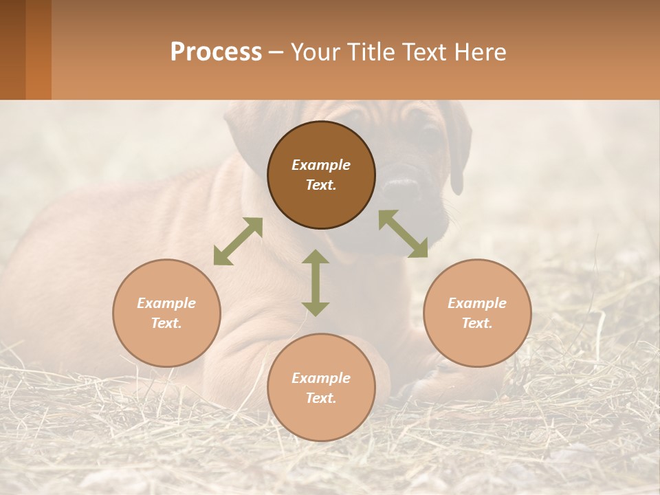 Buy Garden Sky PowerPoint Template