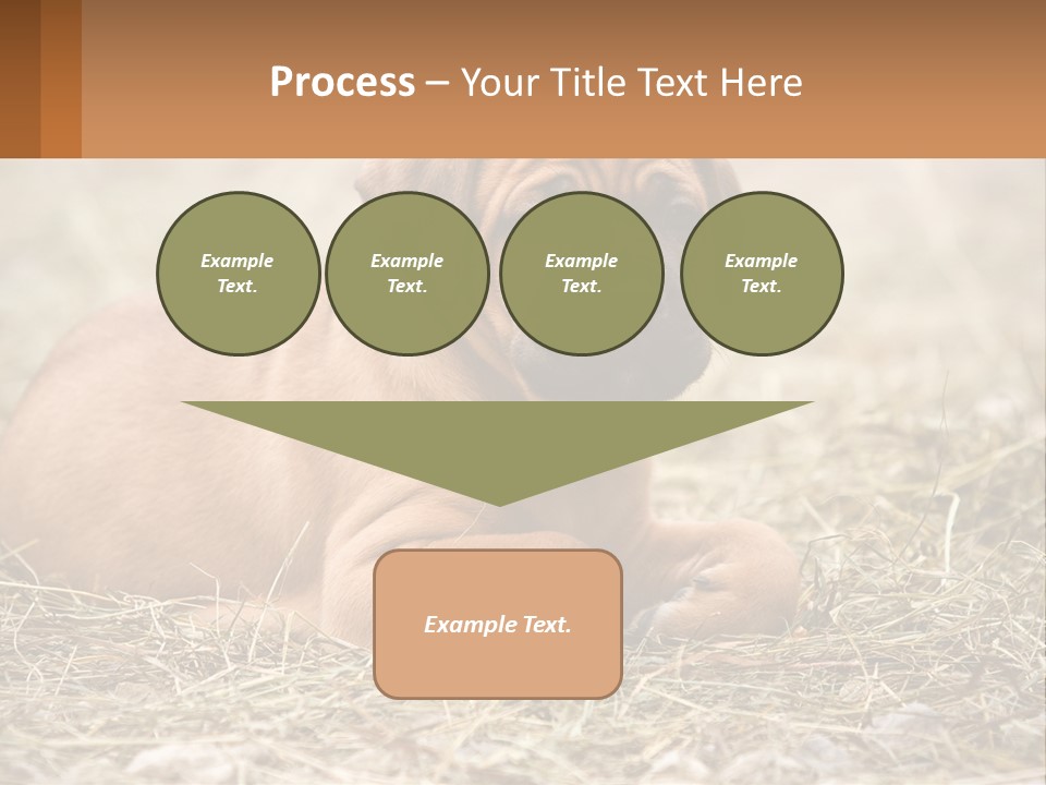 Buy Garden Sky PowerPoint Template