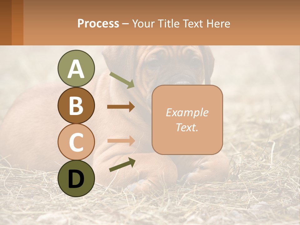 Buy Garden Sky PowerPoint Template