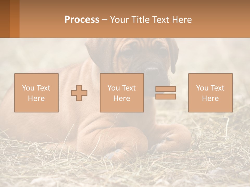 Buy Garden Sky PowerPoint Template