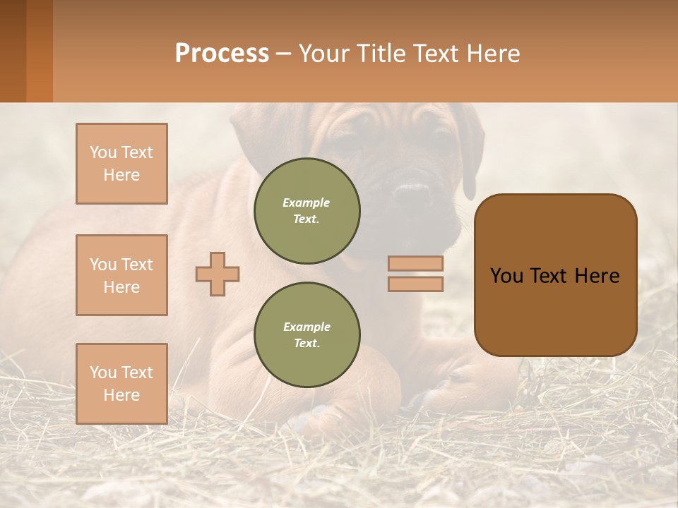 Buy Garden Sky PowerPoint Template