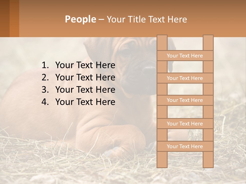 Buy Garden Sky PowerPoint Template