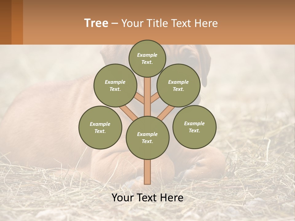 Buy Garden Sky PowerPoint Template