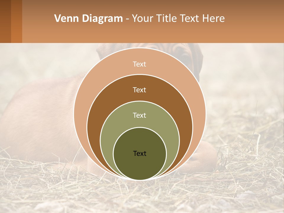 Buy Garden Sky PowerPoint Template