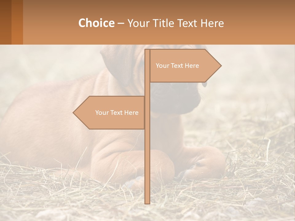 Buy Garden Sky PowerPoint Template